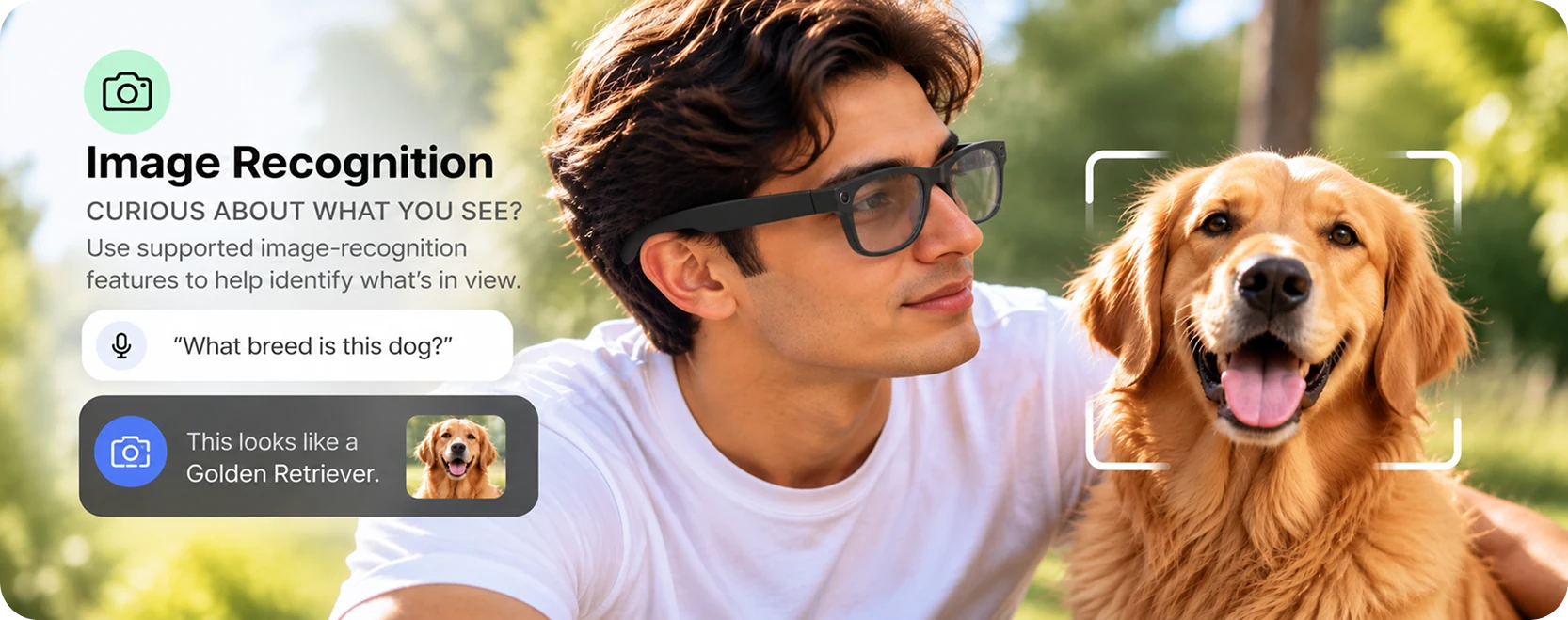 Image Recognition: curious about what you see?