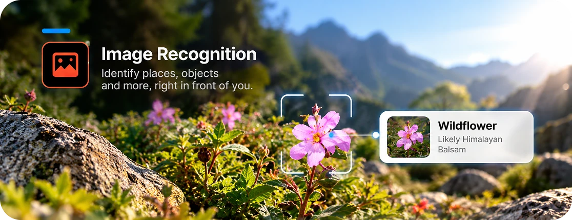 Image recognition identifying a flower